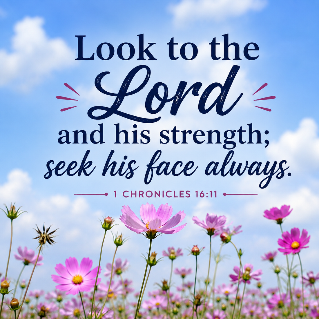 Look to the Lord and His Strength: Finding Hope Every Day | 1 Chronicles 16:11