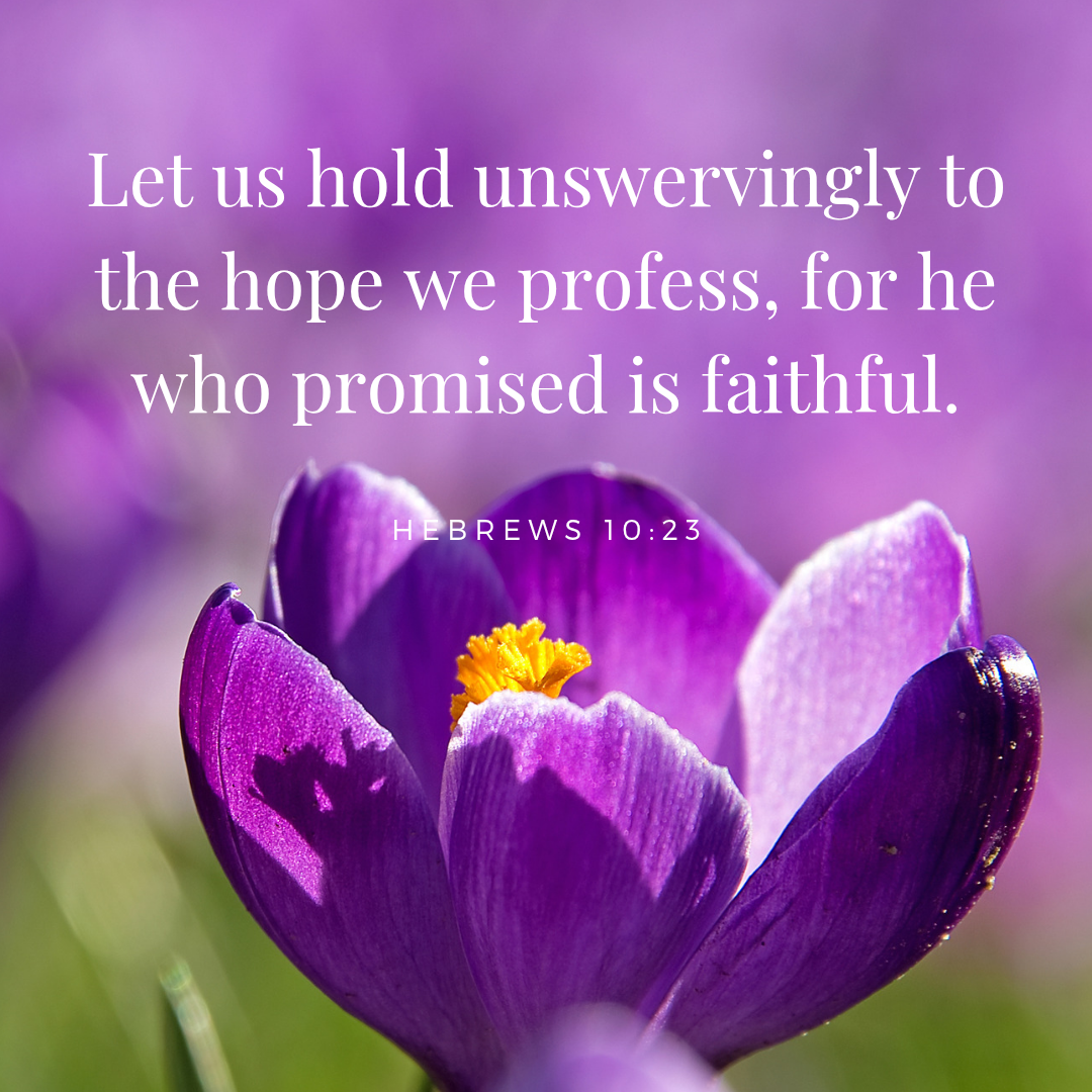 Hold Unswervingly to Hope Because God Is Faithful | Hebrews 10:23