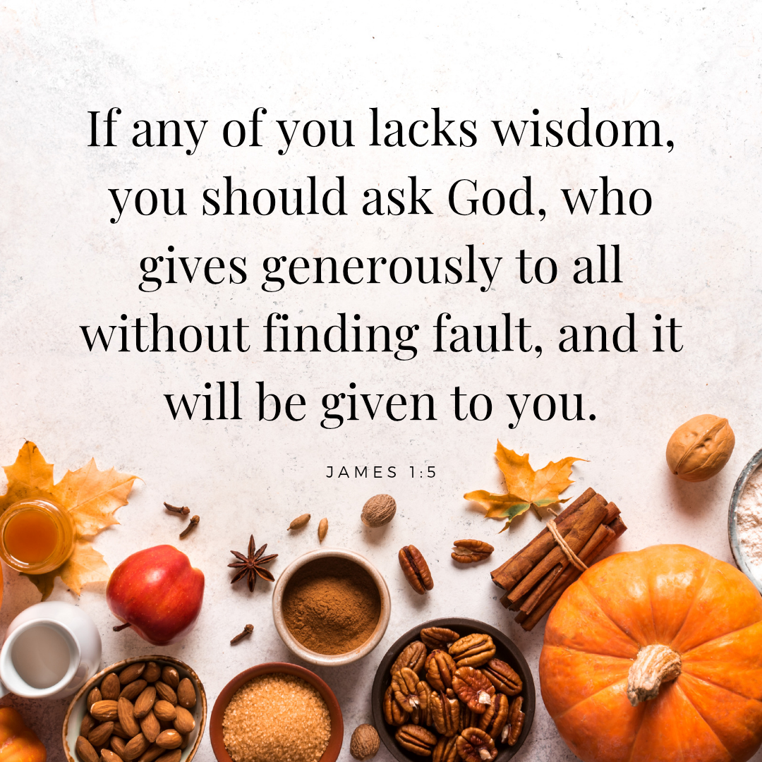 Ask God for Wisdom | James 1:5 | Daily Bible Verse