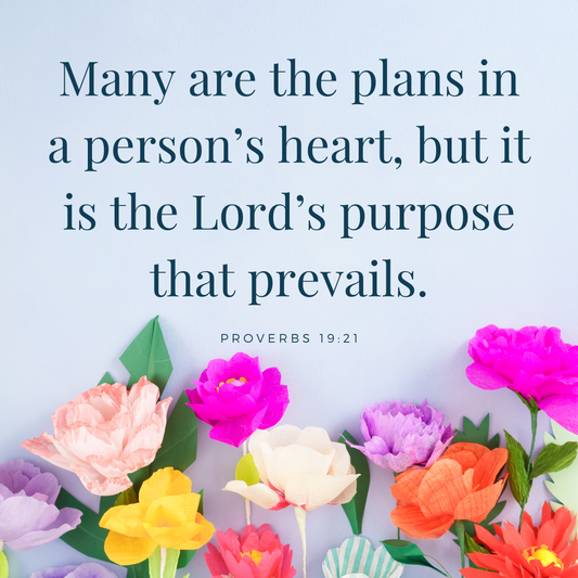 Trusting God’s Purpose When Your Plans Change | Proverbs 19:21