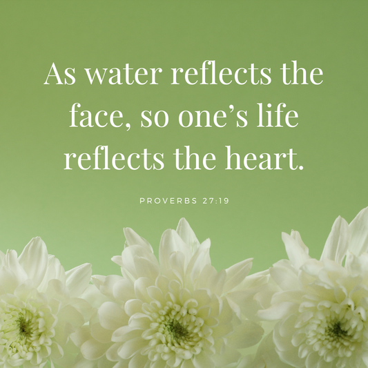 Your Life Reflects What’s in Your Heart | Proverbs 27:19