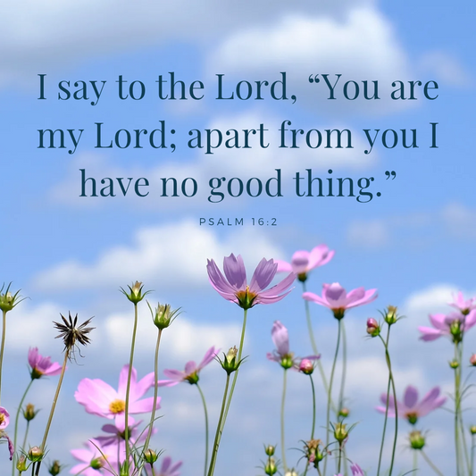 Apart From God I Have No Good Thing | Psalm 16:2