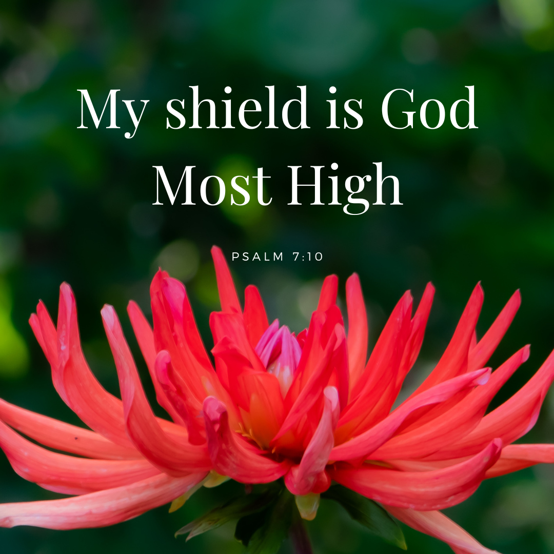 God Is My Shield, Protector, and Defender | Psalm 7:10