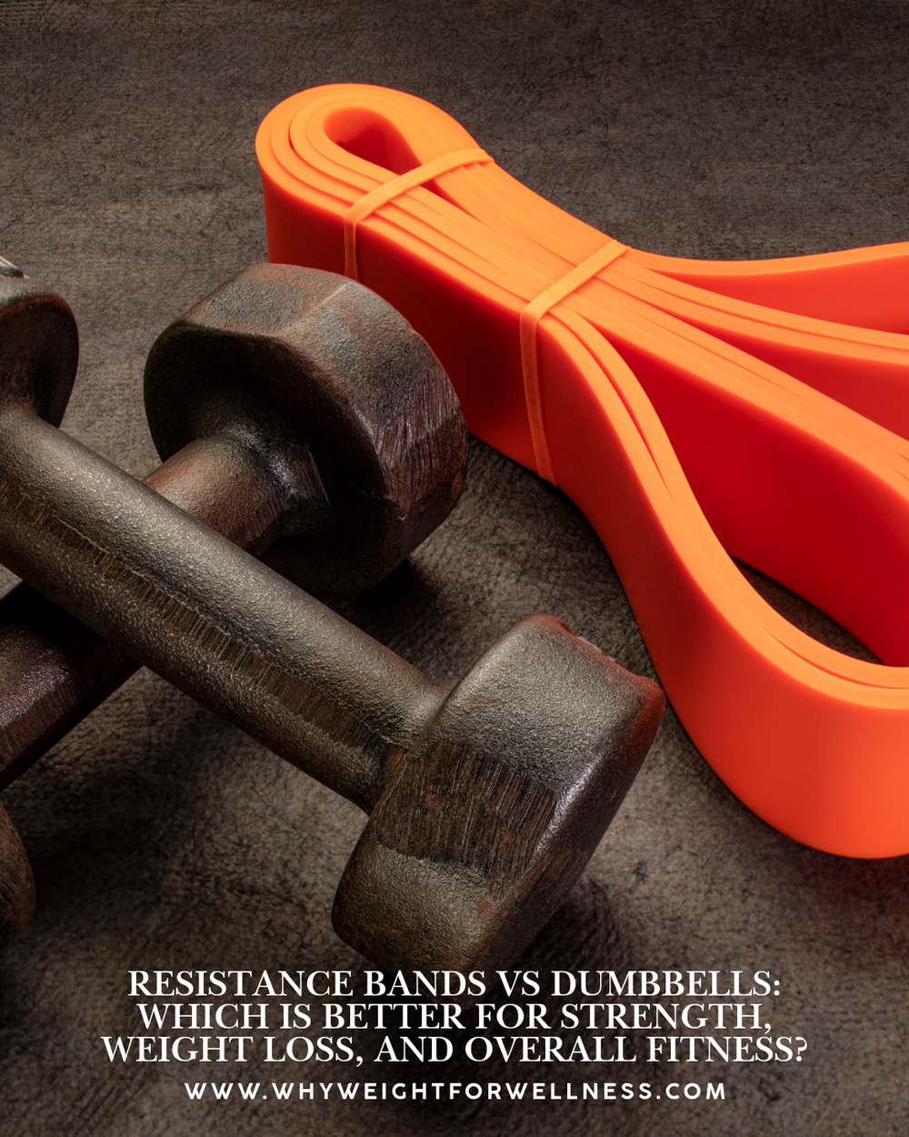 Resistance Bands vs Dumbbells: Which Is Better for Strength, Weight Loss, and Overall Fitness?