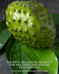 Soursop Tea Leaves: Benefits for Wellness and Weight Management